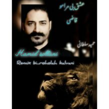 آهنگ جدید حمید سلطانی به نام عشق بی مرامو قاضی (ریمیکس)